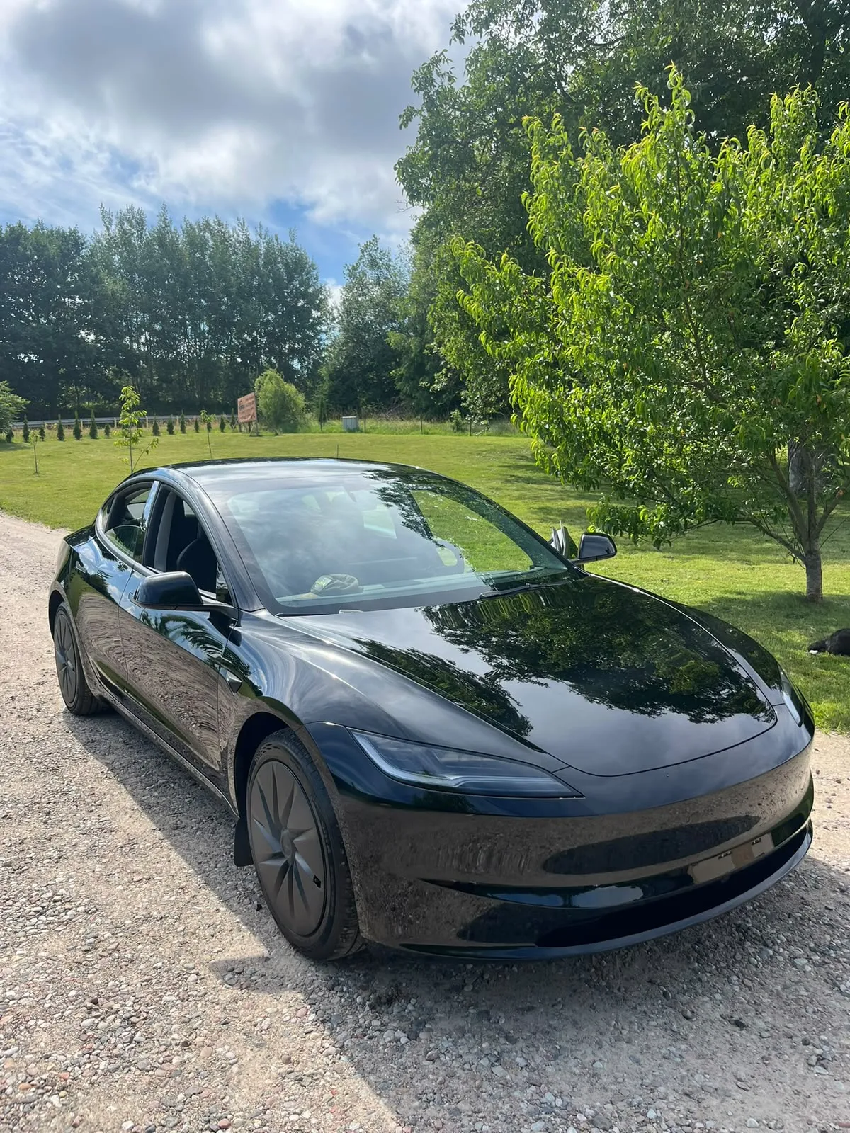 Tesla Model 3 – folia PPF front
